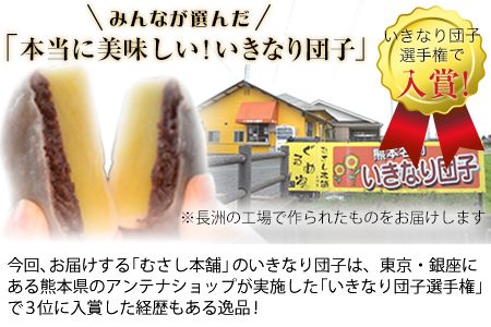 むさし本舗のいきなり団子 10個入り(黒粒4個、黒こし3個、白あん3個) 熊本県長洲町 《60日以内に出荷予定(土日祝除く)》---sn_fmusasidango_60d_r7_7500_10p---