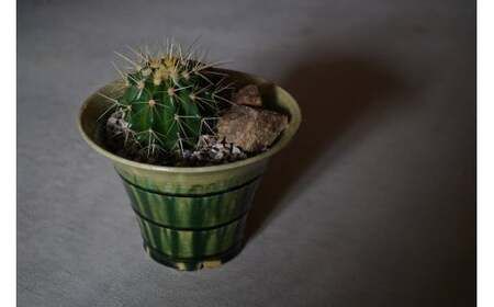 ymtszs×tsR{ yZāz |ƁuؓOv Aؔ L × y{L̃T{eYnz ts̖X 㓡T{e