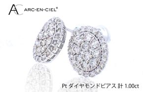 J022-4 ARC-EN-CIEL プラチナ ダイヤピアス（計 1.0ct）【鑑別書付き ジュエリー プレゼント ギフト ファッション アクセサリー 贈り物 贈答 お祝い 記念日】