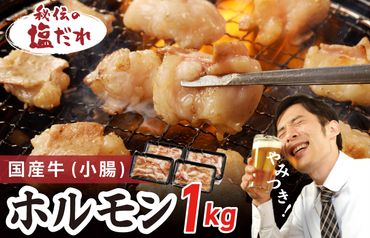 G1147 国産 牛肉 ホルモン 1kg 塩だれ漬け 焼肉用 小分け 250g×4P