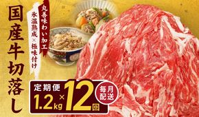 099Z216 【氷温熟成×極味付け】国産 牛肉 切り落とし 定期便 1.2kg×全12回 総量 14.4kg 丸善味わい加工【毎月配送コース】