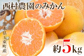 『西村農園』のみかん★約5kg(S-Lサイズ)《12月上旬-12月末頃出荷》 フルーツ 秋 旬★熊本県玉名郡玉東町 80年の老舗農家が作るジューシーみかん♪---sg_nishinmikan_p11_24_11500_5kg---