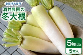 AG081 酒井農園の冬大根 5kg以上（5本入）