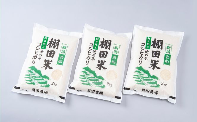 【令和7年産米】新潟県村上市岩船産 棚田米 コシヒカリ 6kg A4184 