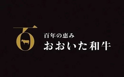 F2-02 片桐さんの「おおいた和牛」ヒレ・サイコロステーキ（600g）