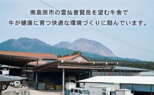 【6回定期便】長崎県産 和牛 肩ロース スライス 500g / 南島原市 / 高田牧場 [SDB009]