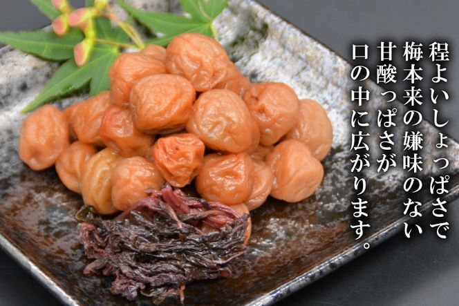 【塩分11％】しそ風味 干し小梅 600g×1 [山梨農産食品 山梨県 韮崎市 20743186] 梅干し 梅干 うめぼし 梅 小粒 小梅 国産 しそ