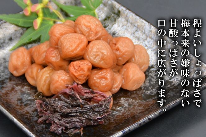 【塩分11％】しそ風味 干し小梅 600g×1 [山梨農産食品 山梨県 韮崎市 20742094] 梅干し 梅干 うめぼし 梅 小粒 小梅 国産 しそ