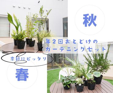 BS150_年２回お届けのガーデニングセット　春・秋お届け　花 苗 植物 家庭菜園 花壇 プランター/みやき町