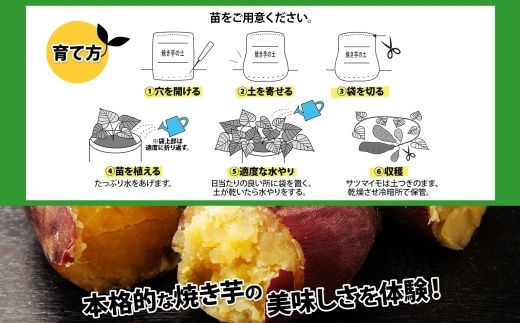 北海道 焼き芋の土 20L 1袋 培養土 やきいも 園芸 家庭菜園 プランター 袋のまま栽培 野菜  サツマイモ 畑 土づくり 野菜作り 初心者 採れたて 芋 送料無料 十勝 士幌町 【F17】