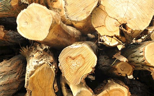 ≪キャンプにおすすめ！≫薪（広葉樹）キャンプストーブ・焚き火用 約10kg【01120】