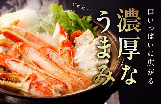 kgp0062 カニ ボイルズワイ蟹 800g（400g×2肩）約2-3人前 昆布仕立て