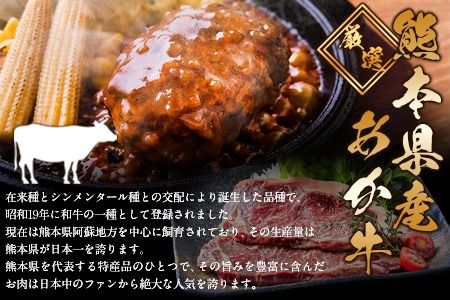 ステーキマニア監修 熊本県産あか牛100%生ハンバーグ 140g×13個入り 合計1820g 1.82kg以上《3月上旬-4月末頃出荷》熊本県産あか牛 バイキングベーカリー 冷凍---ng_faknhamb_af3_r7_13000_1820g---
