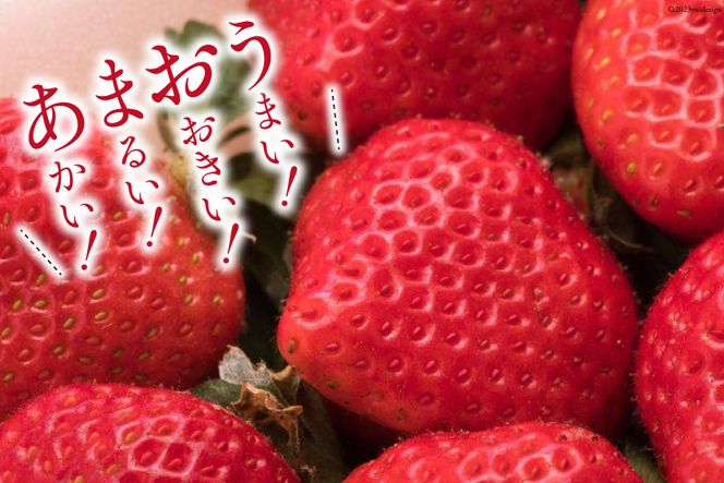 いちご 博多 冷凍あまおう 約500g×4袋 計約2kg [エイチアンドフューチャーズ 福岡県 筑紫野市 21760521] 果物 フルーツ 苺 イチゴ あまおう 冷凍いちご 冷凍苺 果実 ストロベリー ジャム用 福岡県産