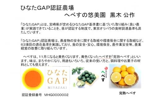 【期間限定発送】 おひさまへべす ひなたGAP認定 ふぞろい 2kg [へべすの悠美園 宮崎県 日向市 452060723] へべす ヘベス 宮崎 果物 フルーツ くだもの 柑橘 ポン酢 調味料 果汁