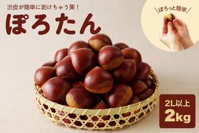 【期間限定】低温貯蔵 東美濃ぽろたん（生栗）東美濃農業協同組合【発送日10月末～12月上旬】 F4N-1960