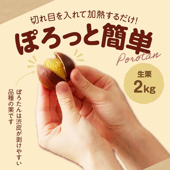【期間限定】低温貯蔵 東美濃ぽろたん（生栗）東美濃農業協同組合【発送日10月末～12月上旬】 F4N-1960