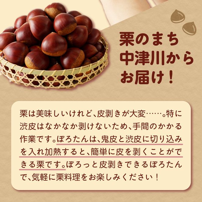 【期間限定】低温貯蔵 東美濃ぽろたん（生栗）東美濃農業協同組合【発送日10月末～12月上旬】 F4N-1960