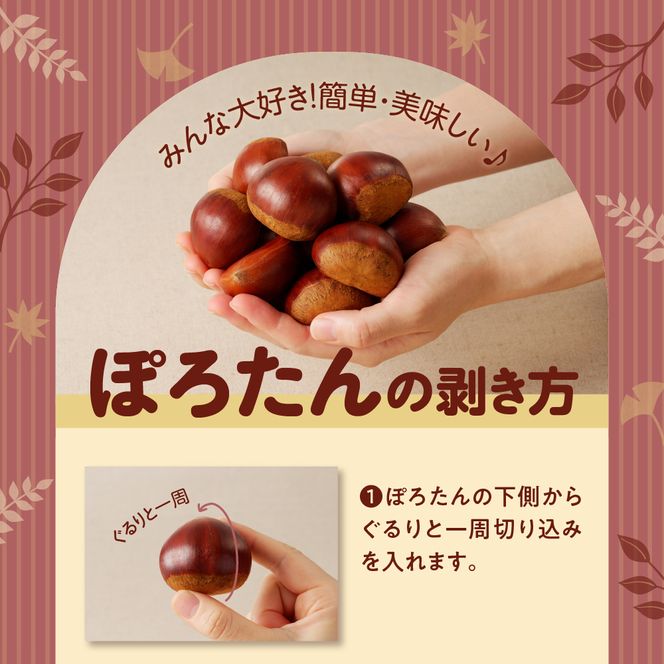 【期間限定】低温貯蔵 東美濃ぽろたん（生栗）東美濃農業協同組合【発送日10月末～12月上旬】 F4N-1960