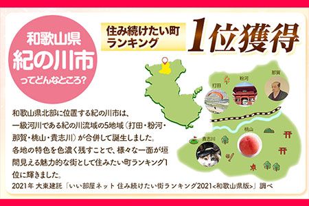 和歌山県 紀の川市 応援寄附 1口 1000円【返礼品なし】---kifunomi---