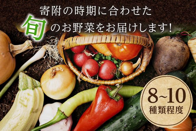 【定期便4回】<アスカ有機農園>旬の京丹後野菜セットS（栽培期間中　農薬・化学肥料不使用）　AY00012