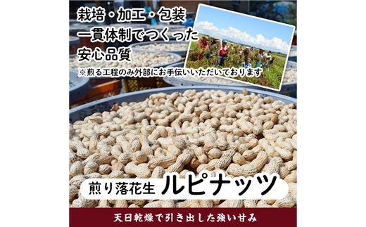 【08592】《思いやり型返礼品・先行予約受付中！2021年9月中旬から順次発送》みんなで作った煎り落花生「ルピナッツ」(計600g・200g×3袋)【ルピナス会】