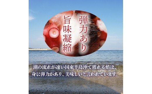テレビで紹介されました！ 漁師が作る本格派！にんにく醤油味のたこ唐揚げ（0.98kg）_29241A