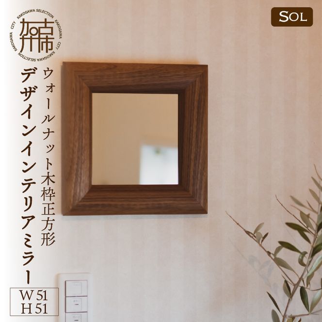 yɌÐszySENNOKIzSOL\ EH[ibg W510×D30×H510mm(4kg)ؘg`fUCCeA~[y2409M05045z