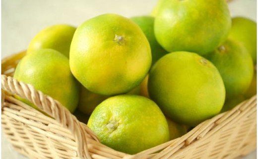 ［極早生みかんの逸品］有田産ゆら早生みかん約5kg★2026年10月中旬頃より順次発送 BZ045