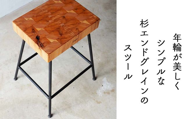 yRpcSqzGhOC̃Xc[iCompagoj45cm E-mp-A16A