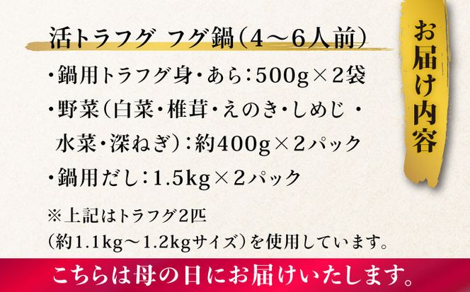 【母の日にお届け！】【長崎県産】トラフグ フグ刺し・フグ鍋 Wセット（4～6人前） / ふぐ 刺身 鍋 南島原市 / ながいけ[SCH074]