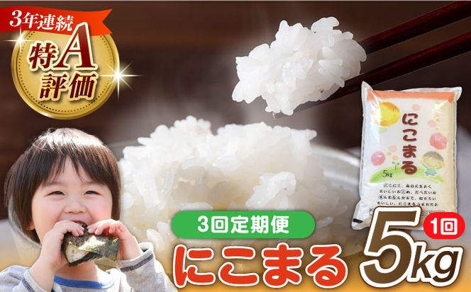 y茧쓇szy3ցz 茧Y  ɂ܂ 5kg v 15kg / 쓇s / 叼X [SDR002]