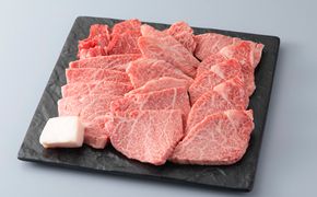 【A-341】 宝牧場 近江牛ヒレ焼肉用 500g［高島屋選定品］