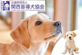 盲導犬 訓練 支援寄附 記念品［陶器のクイール（子犬）※欠品時は代替品の盲導犬のぬいぐるみ・エコバッグ など盲導犬協会オリジナルグッズ］「行きたい場所に安心していける社会に…」補助犬（20,000円）