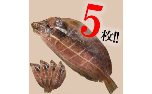 旨味凝縮！ナメタガレイの一夜干し 5枚セット 食べやすいカット入り ( 一夜干し 干物 セット 簡単 夕食 北海道 時短 カレイ おつまみ おかず )【094-0004】