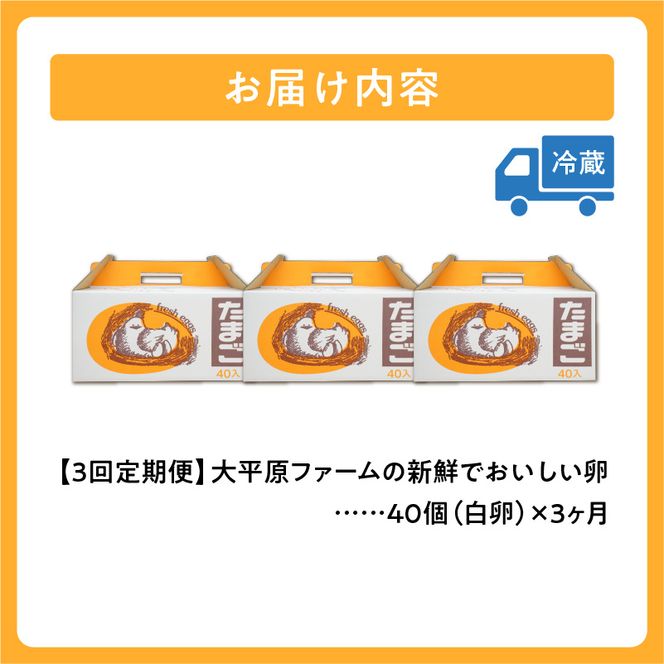 【3回定期便】大平原ファームの新鮮でおいしい卵 計40個(白卵)×3ヶ月_S035-0003