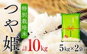 コシヒカリ発祥の地のブランド米 つや姫 10kg 5kg×2袋令和6年産 2024年産【1059-021A】