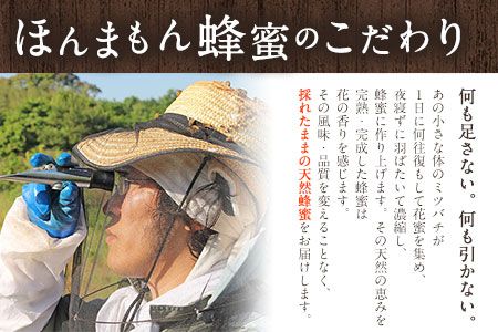 ほんまもん蜜柑（みかん）蜂蜜 1200g×1本 村上養蜂《30日以内に出荷予定(土日祝除く)》和歌山県 紀の川市---wsk_muraymh1_30d_23_20000_1200g---