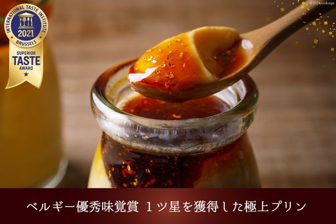 能登の極上素材プリン プレミアム　6個セット（プリン6個×シロップ2本） [宝達山本舗松月堂 石川県 宝達志水町 38600451] 