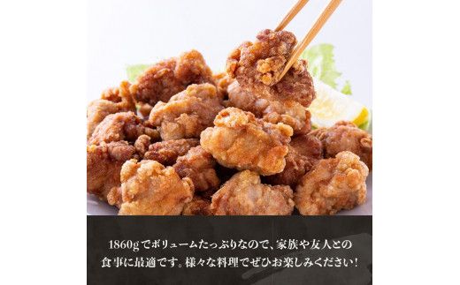 ※発送月が選べる※【小分け】宮崎県産若鶏もも肉1.86kg（310g×6袋） 【 もも肉 モモ 肉 小分け からあげ チキン南蛮 国産 九州産 宮崎県産 唐揚げ カット済 冷凍鶏肉 】 [C06910]