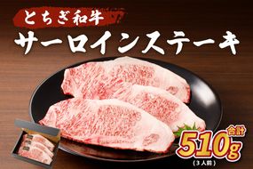 ns004-019 とちぎ和牛 サーロインステーキ510g(3人前)