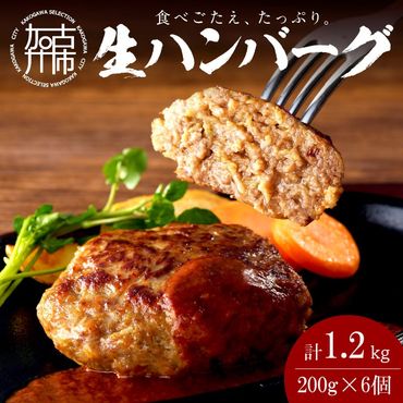 【食べ応えたっぷり！】自家製生ハンバーグ200g×6個《 惣菜 ハンバーグ 肉 小分け 簡単調理 冷凍 自家製 牛ミンチ 》【2401I09916】