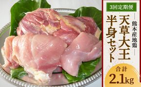 【3回発送】熊本産地鶏 天草大王 半身セット 定期便【合計2.1kg】 モモ ムネ ササミ