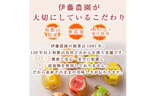 562.【定期便】伊藤農園 寒天ジュレドリンクタイプ12個セット(6ヶ月お届け)(A562-2)