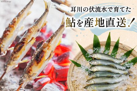 鮎 冷凍 こだわりの鮎 約1kg [あゆの是則 宮崎県 日向市