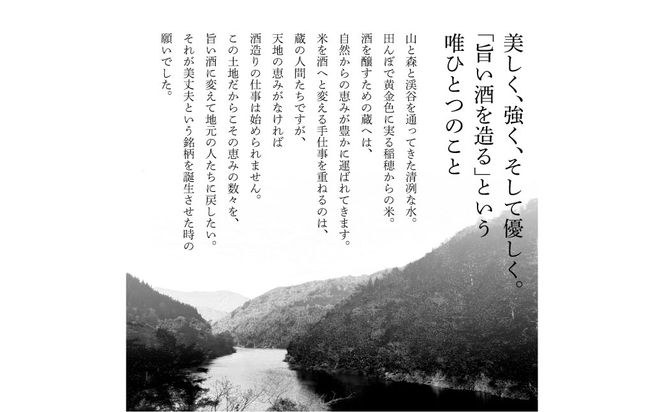 ★四国一小さなまちの地酒★ 美丈夫 特別純米酒 1800ml×1本 お歳暮 日本酒 一升瓶 お酒 酒 おさけ 1.8リットル 度数 15度 おいしい 地酒 男性 誕生日プレゼント 父 誕生日 20歳