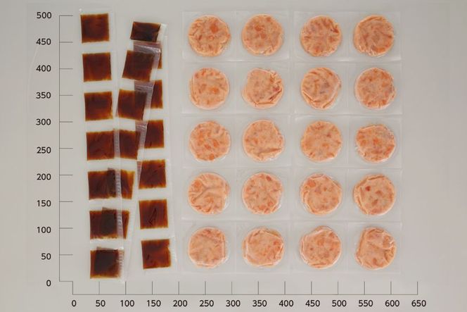 北海道産鮭使用「さけトロ」【40g×20パック（タレ付）】便利な食べきりパック