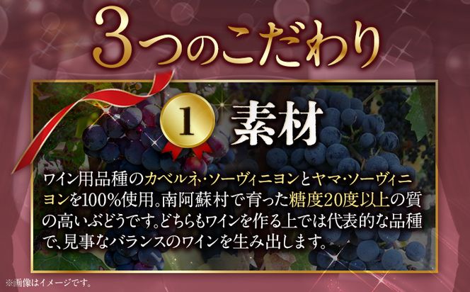 南阿蘇村産ぶどう100%使用 赤ワイン RED cow 1本 750ml《30日以内に出荷予定(土日祝除く)》熊本県 南阿蘇村 カベルネ・ソーヴィニヨン ヤマ・ソーヴィニヨン ワイン 酒 お酒---sms_winecow_30d_r7_13000_750ml---