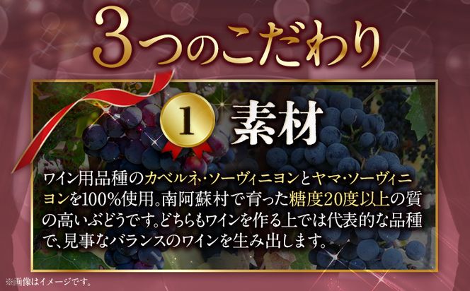 南阿蘇村産ぶどう100%使用 赤ワイン RED cow 1本 750ml《30日以内に出荷予定(土日祝除く)》熊本県 南阿蘇村 カベルネ・ソーヴィニヨン ヤマ・ソーヴィニヨン ワイン 酒 お酒---sms_winecow_30d_23_15500_720ml---