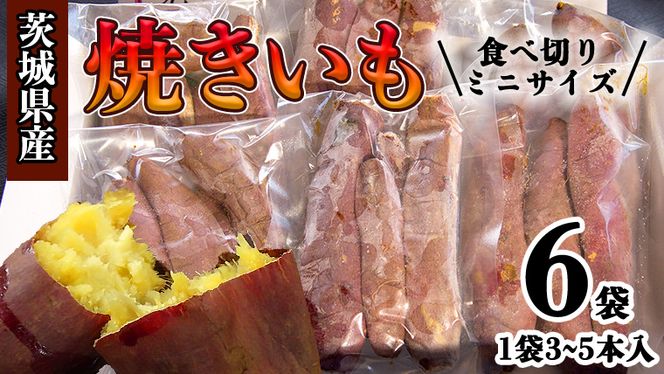 y錧}sz錧Y ~j Ă 6  C  ܂ Tc}C ܈ XC[c [CO005ci]